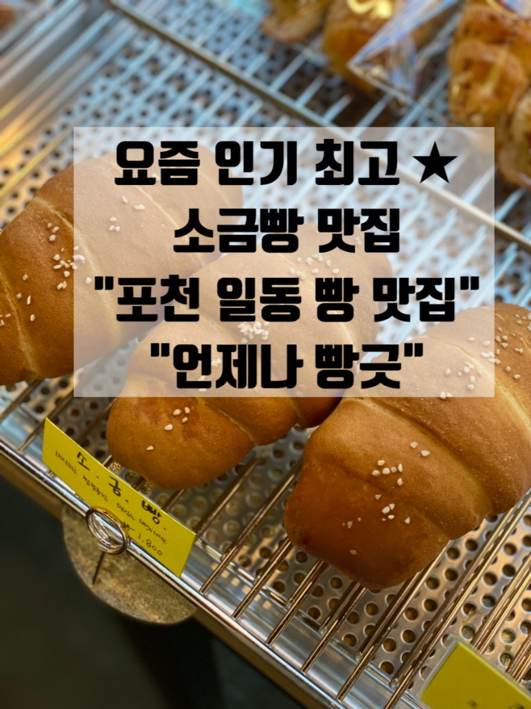 언제나 빵긋 이미지