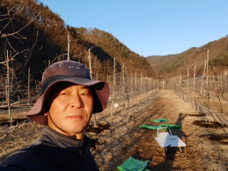 느린거름 이미지