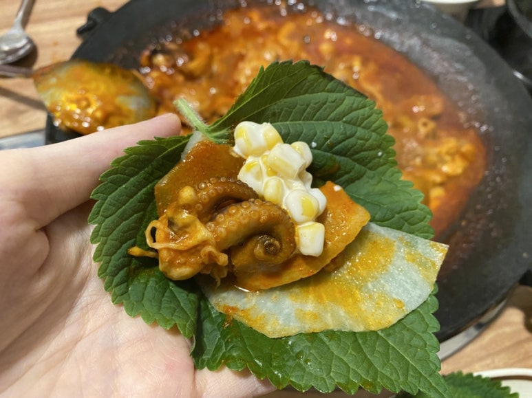 쭈마담 이미지