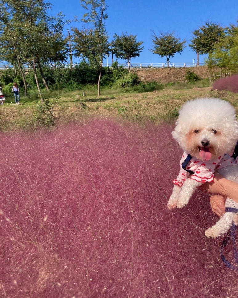 철마가든 이미지
