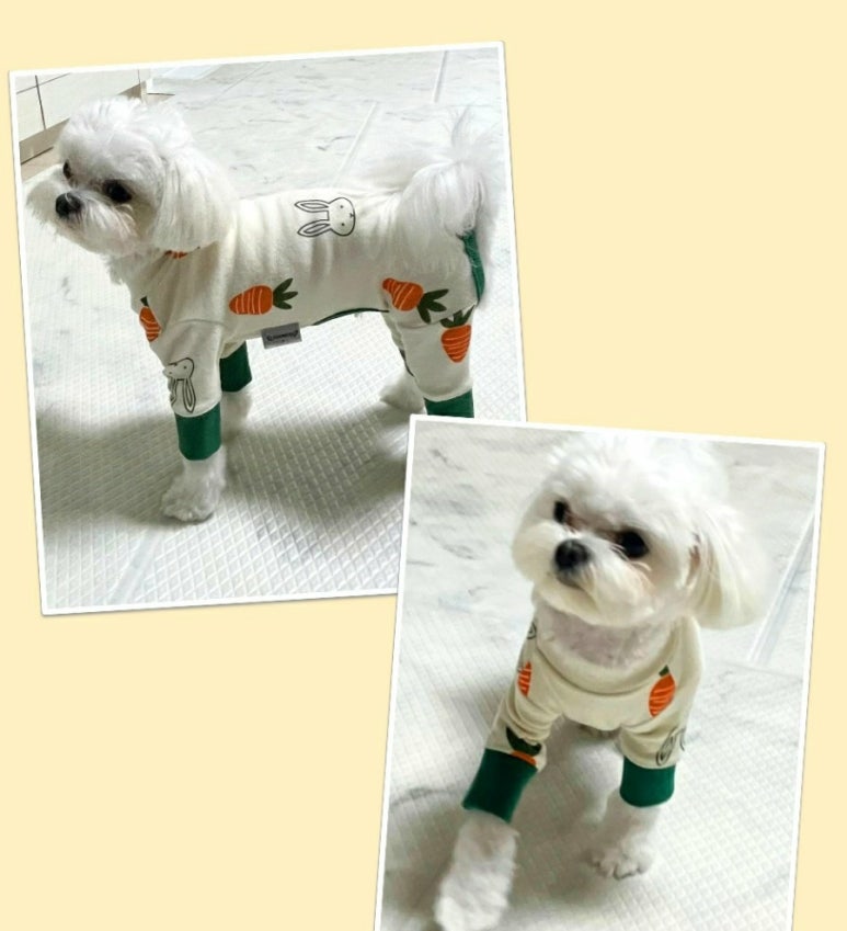 용암건어물 이미지