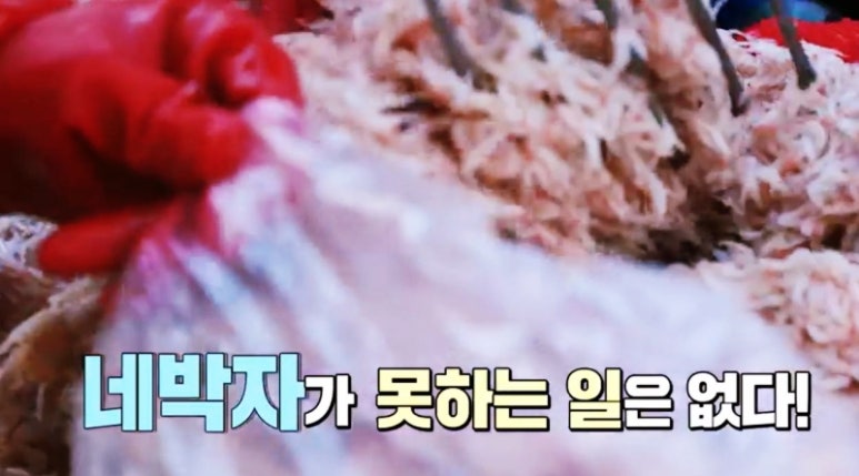 보령토굴젓갈 이미지