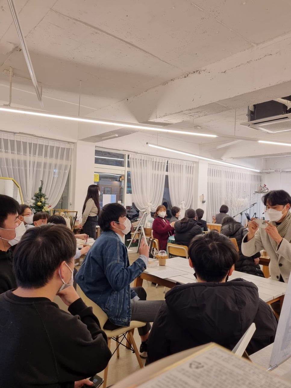 오렌지나무 이미지