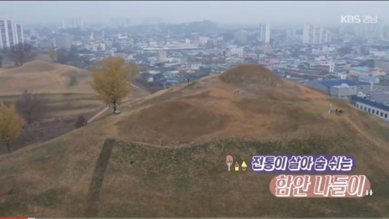 토우리영농조합법인 이미지