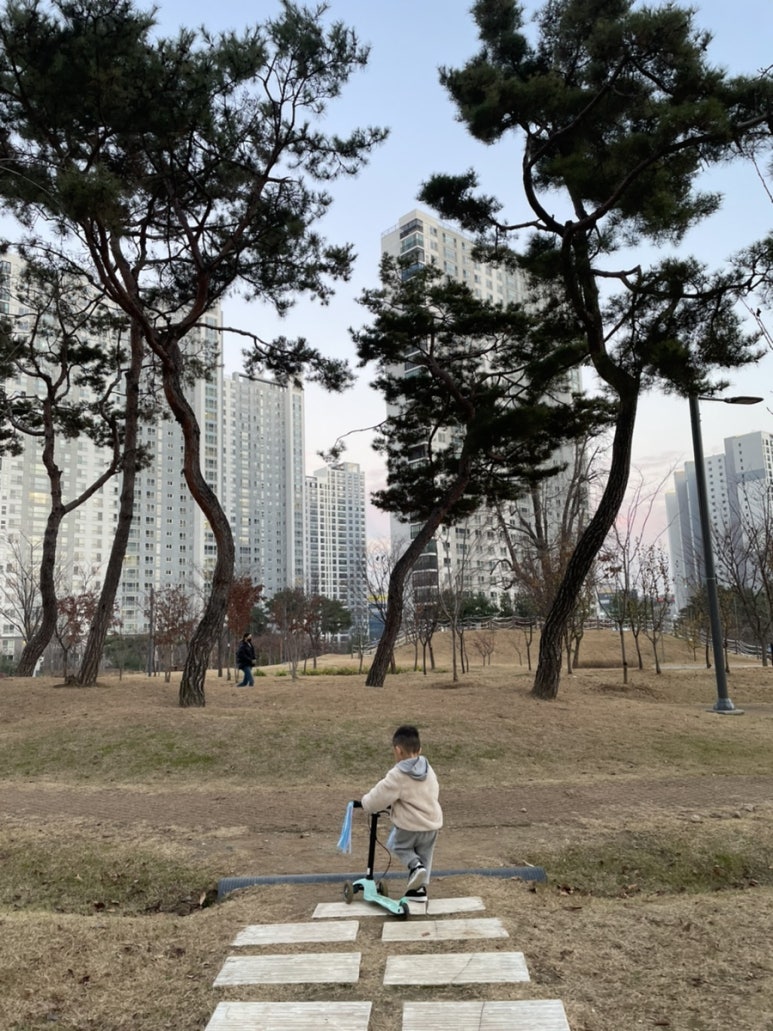 포유꼬마김밥앤카페 이미지