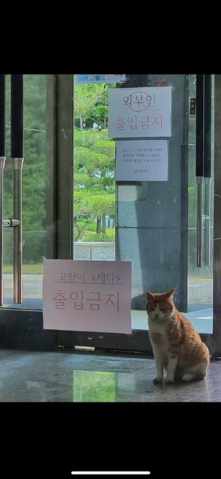 파도파크 이미지