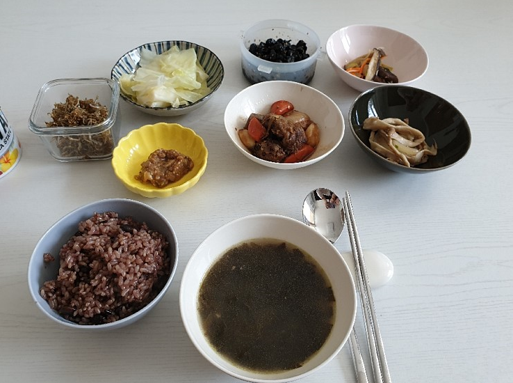 봄빛도우미 이미지