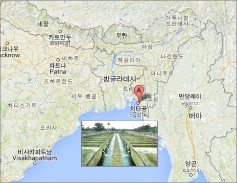 태영부동산컨설팅 이미지