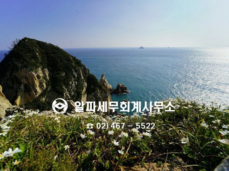벽지/장판/마루 소매업 이미지