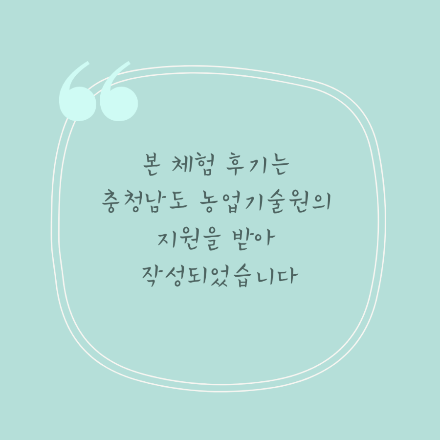 하늘아삭(주) 이미지