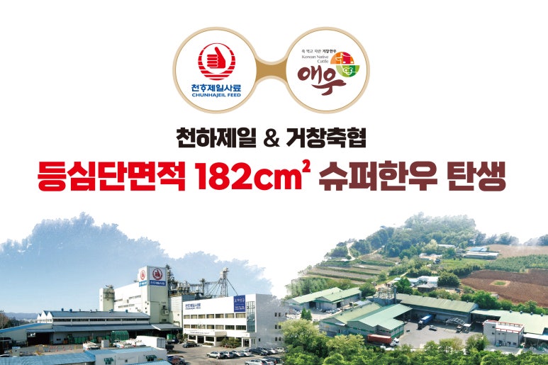 거창한한우 이미지