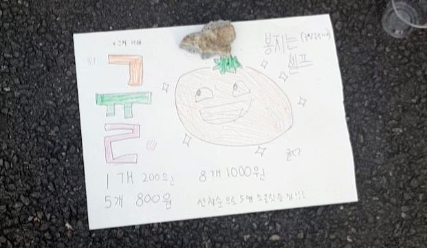 형제전자 이미지