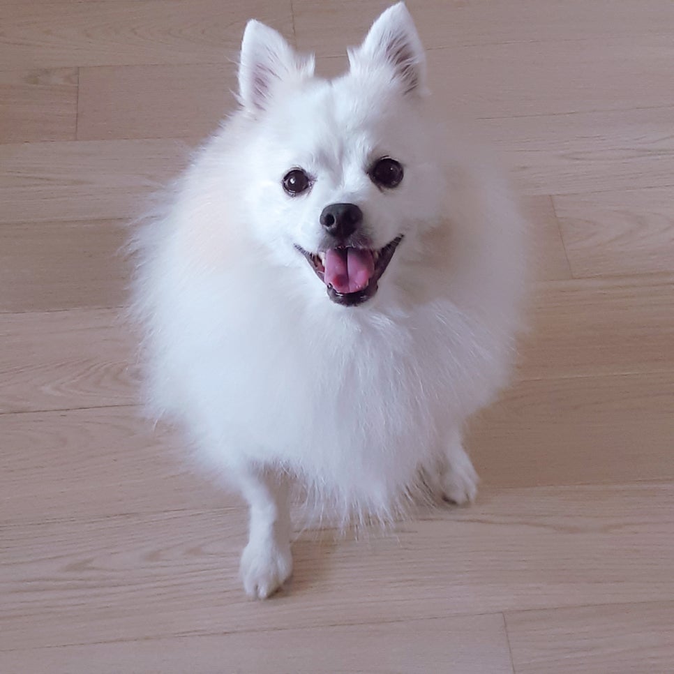 행복한이야기 이미지