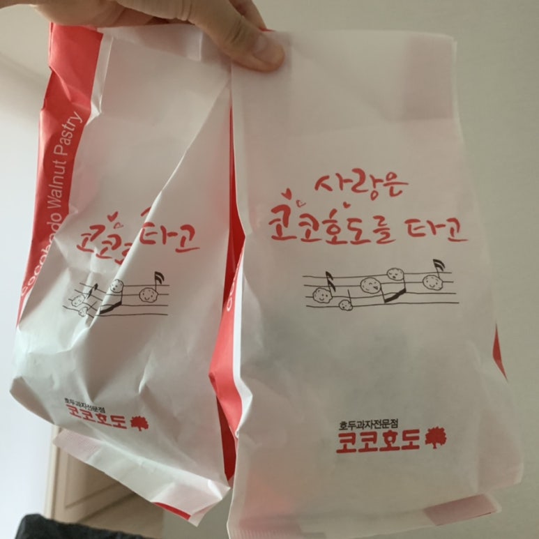 코코호도명지국제 이미지