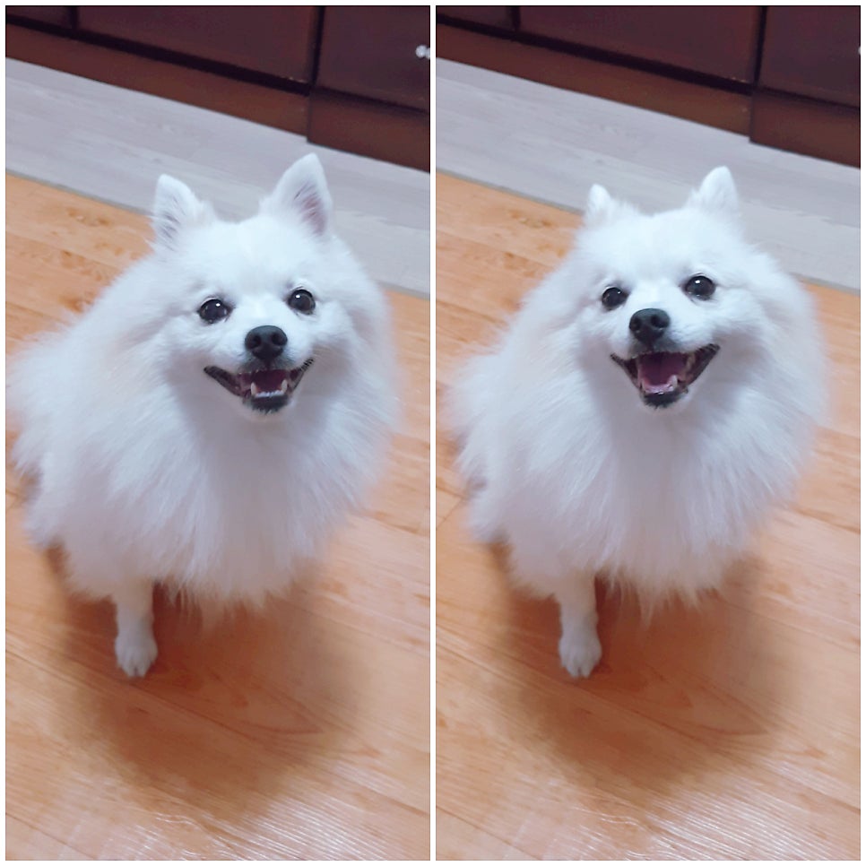 행복한이야기 이미지