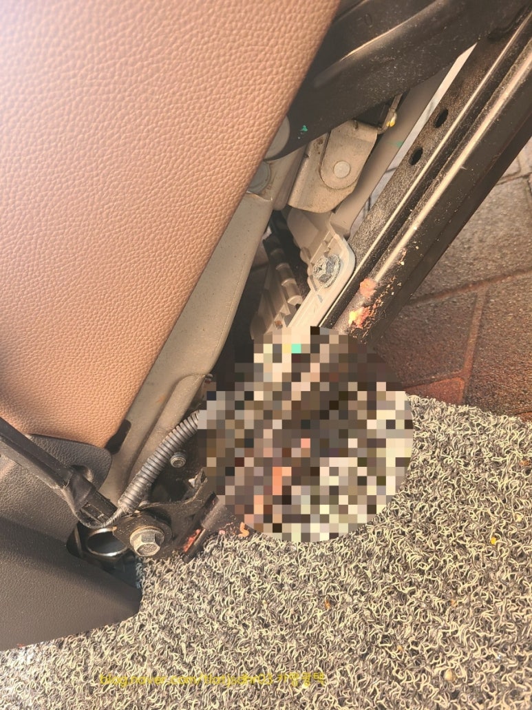 위드클리닝 이미지