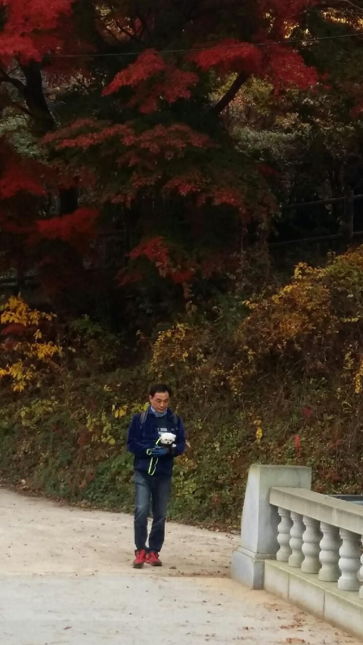 서라영 이미지