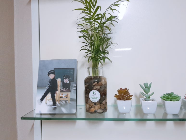 참햇빛상회 이미지
