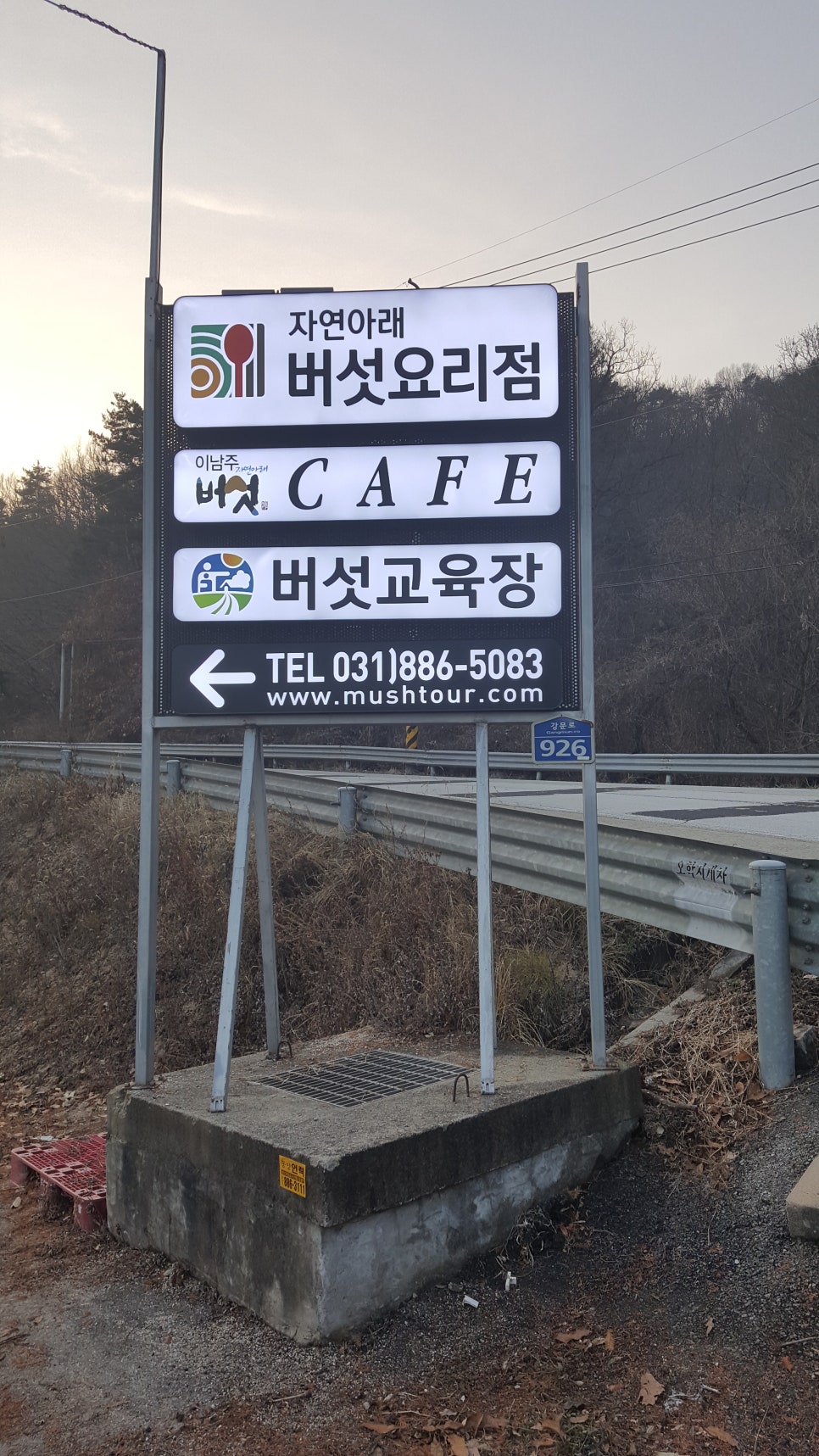 이남주자연아래버섯 이미지