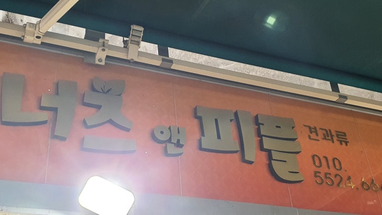 너츠피플 이미지