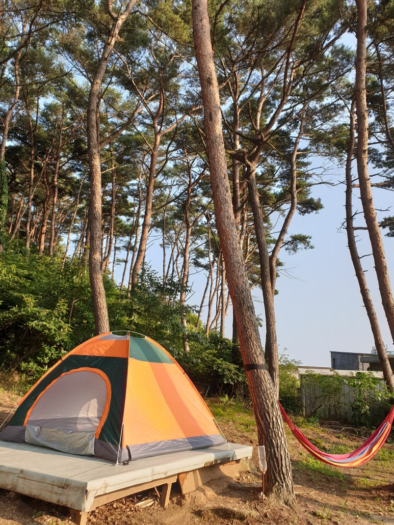 제부도힐링펜션 이미지