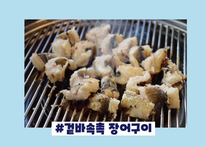힘찬짱어 이미지