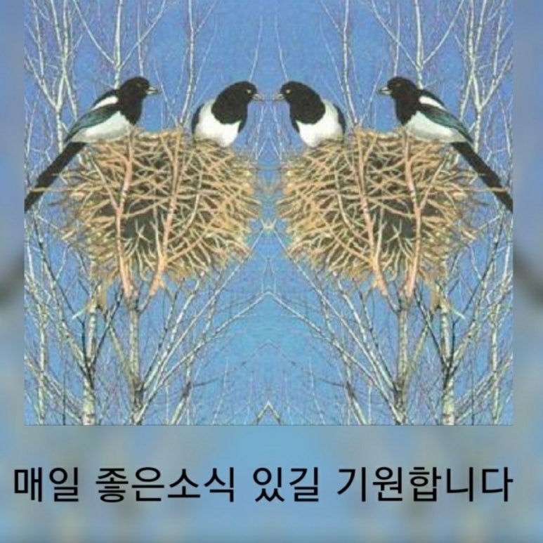 솜씨노리터 이미지