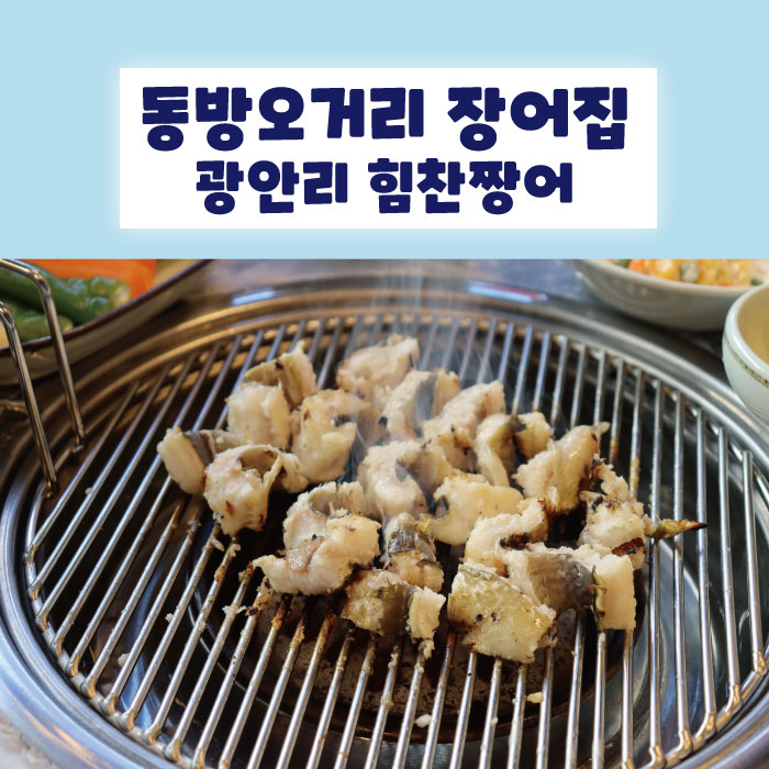 힘찬짱어 이미지