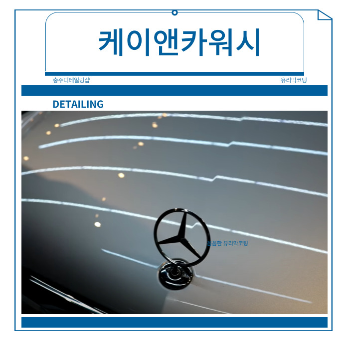 폴리앤카 이미지