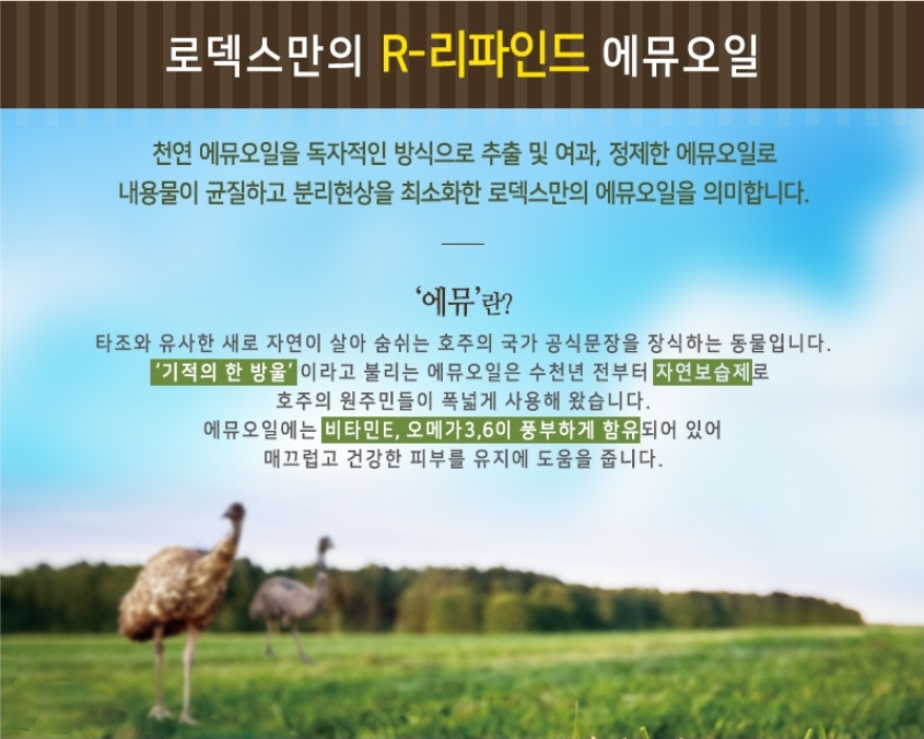 로덱스 이미지