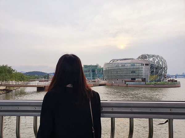 서울웨딩관광문화교류협회 이미지