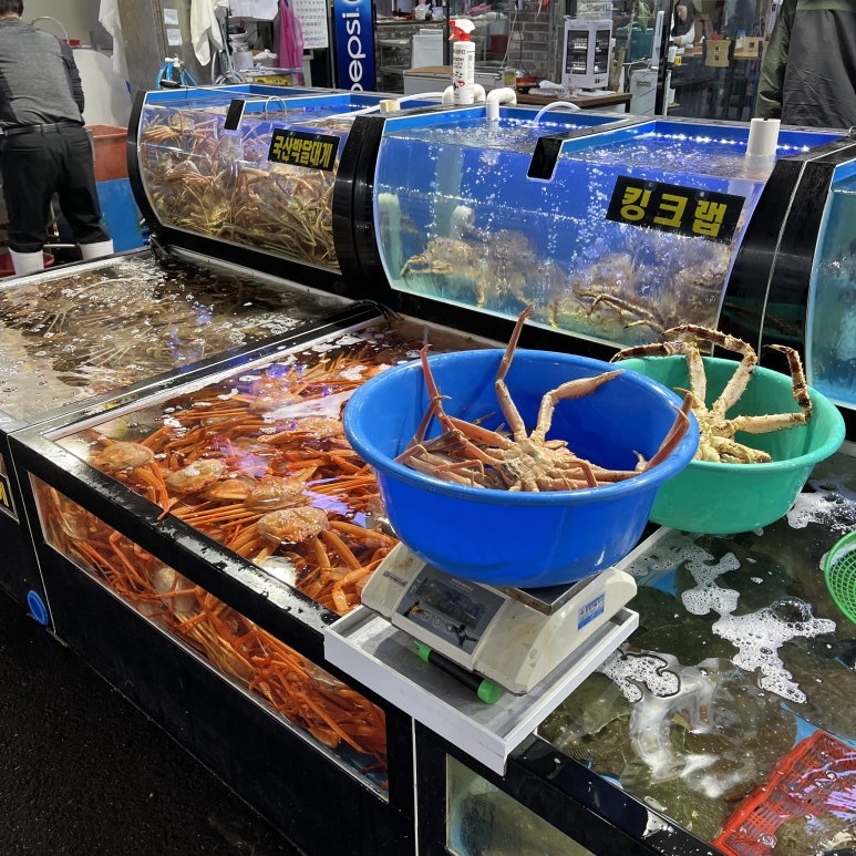 갈릴리대게회식당 이미지