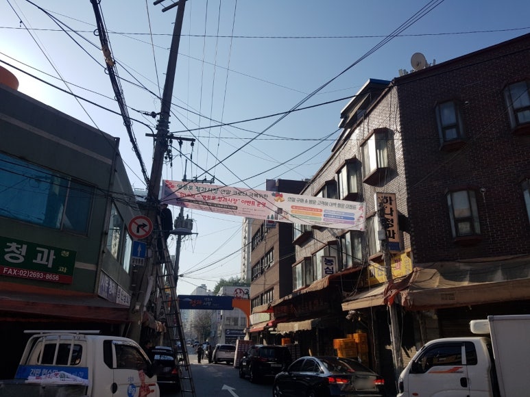 정이청과 이미지