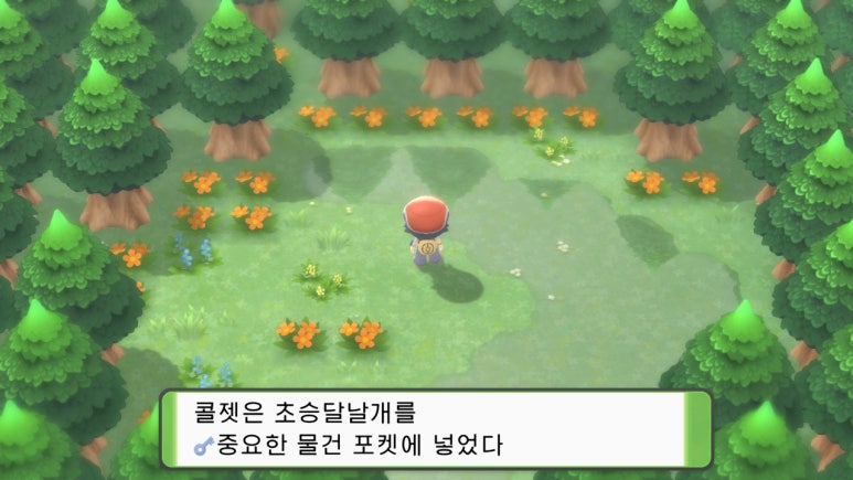피오네 이미지