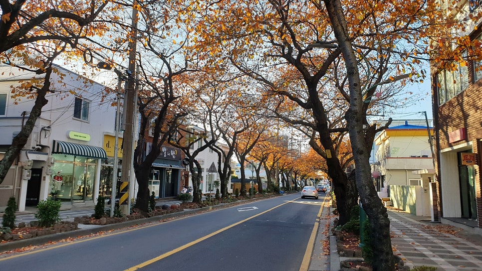 이디야삼도점 이미지