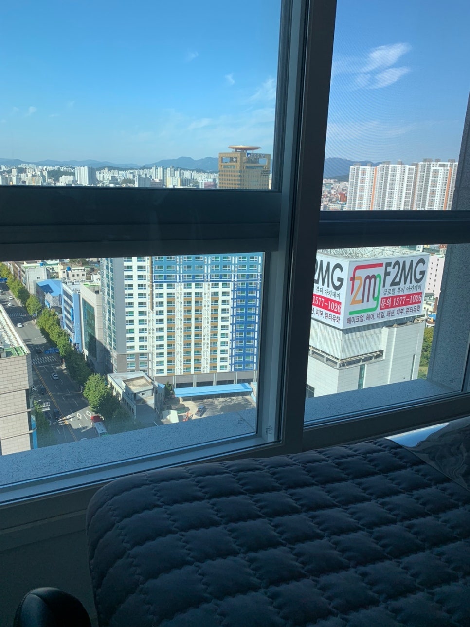 인셀덤다온 이미지