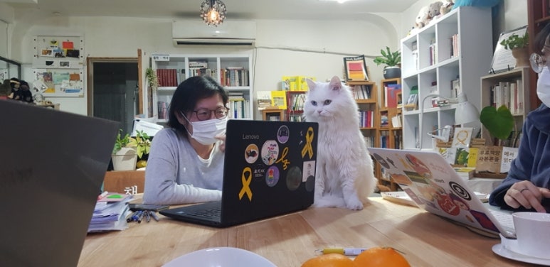 책방;눈맞추다 이미지