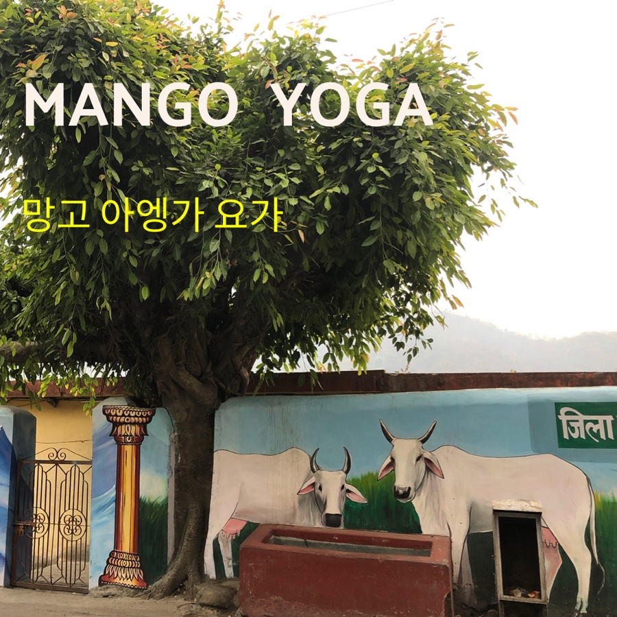 망고트레블 이미지