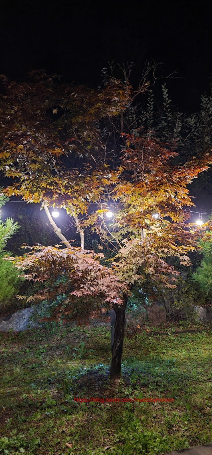 베리온리조트2 이미지
