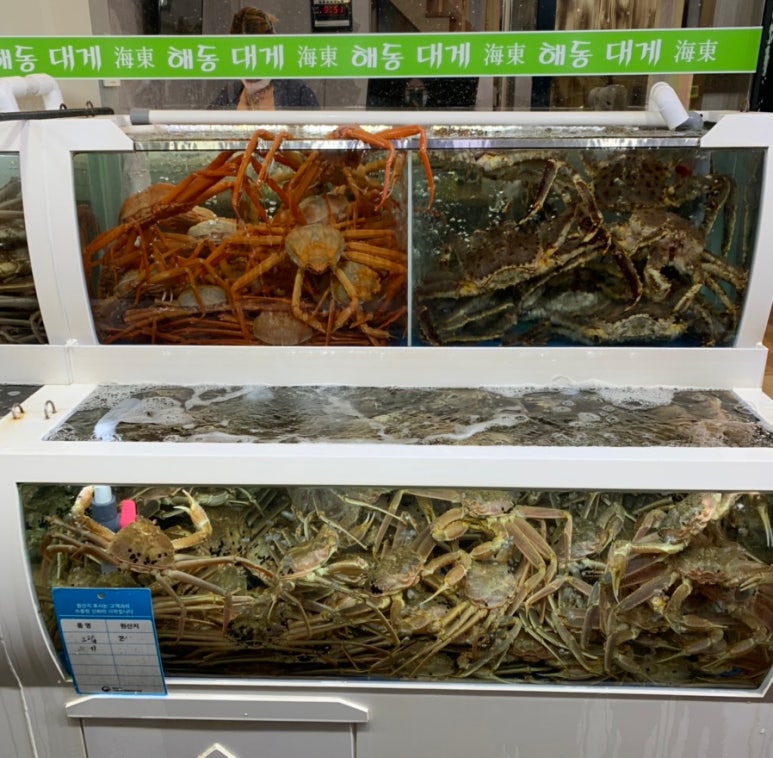 해동포차 이미지