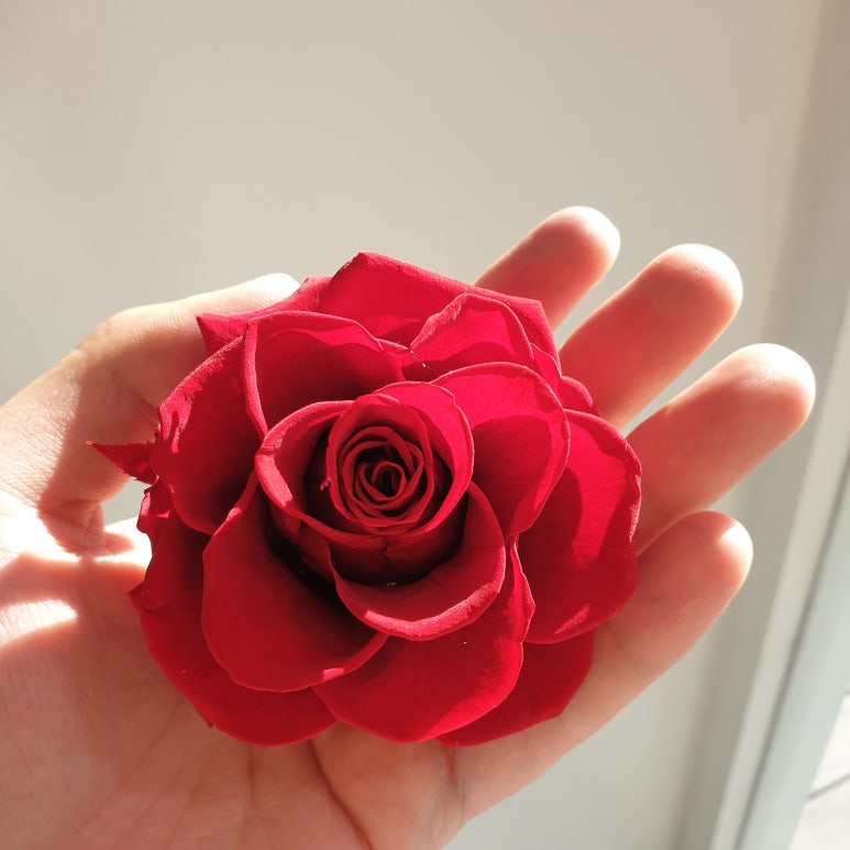 향기담기 이미지