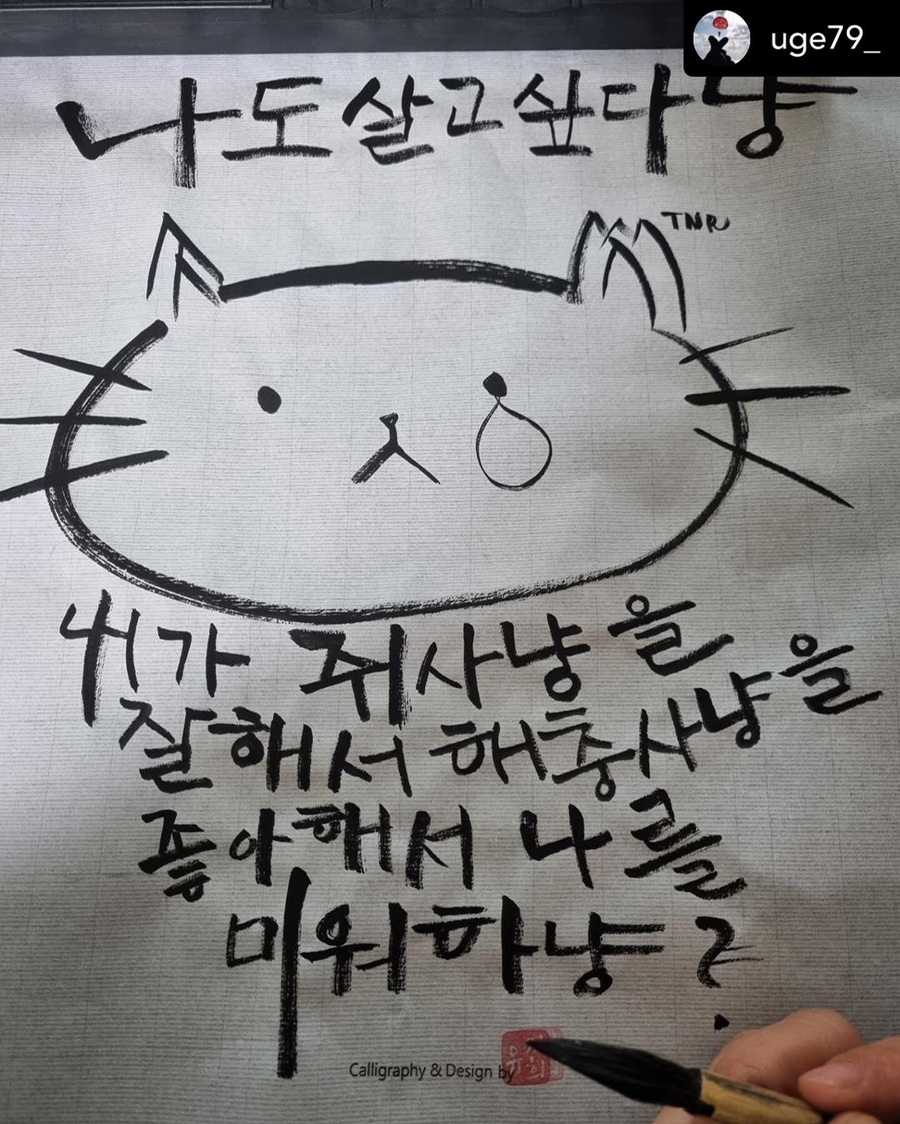 고양이발자국 이미지