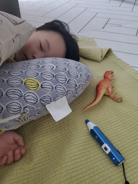 스프링타임주 이미지