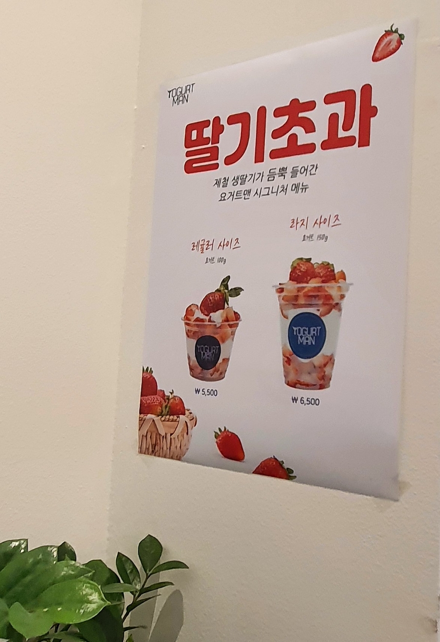 요거트맨 문정점 이미지