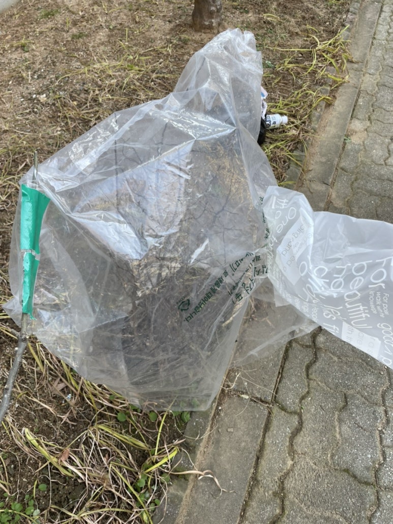 알리바바 커피 인하대점 이미지