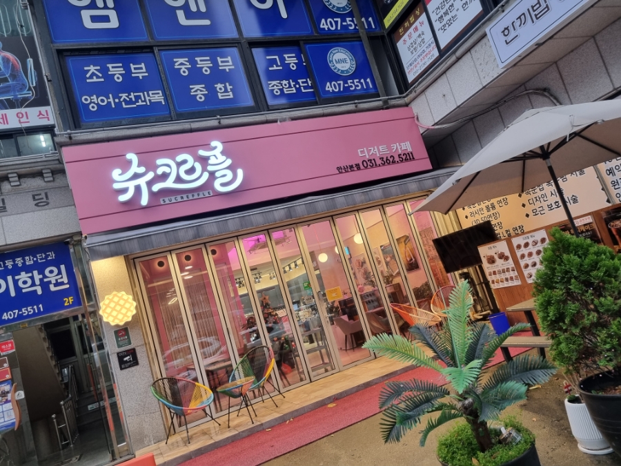 슈크르플 이미지