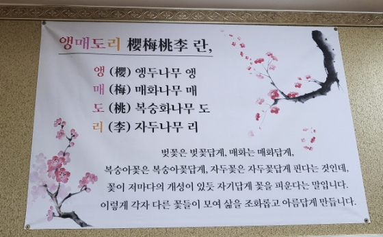 앵매도리한우 이미지
