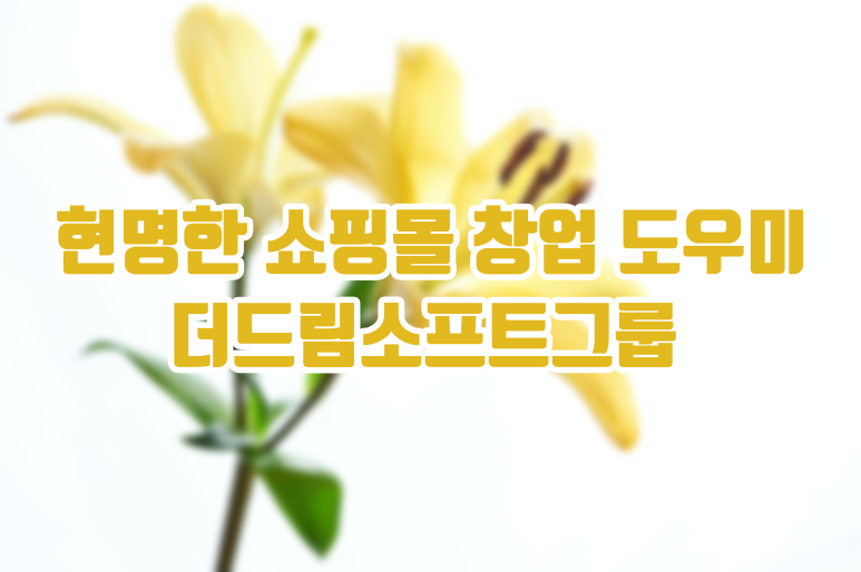 더드림마켓 이미지