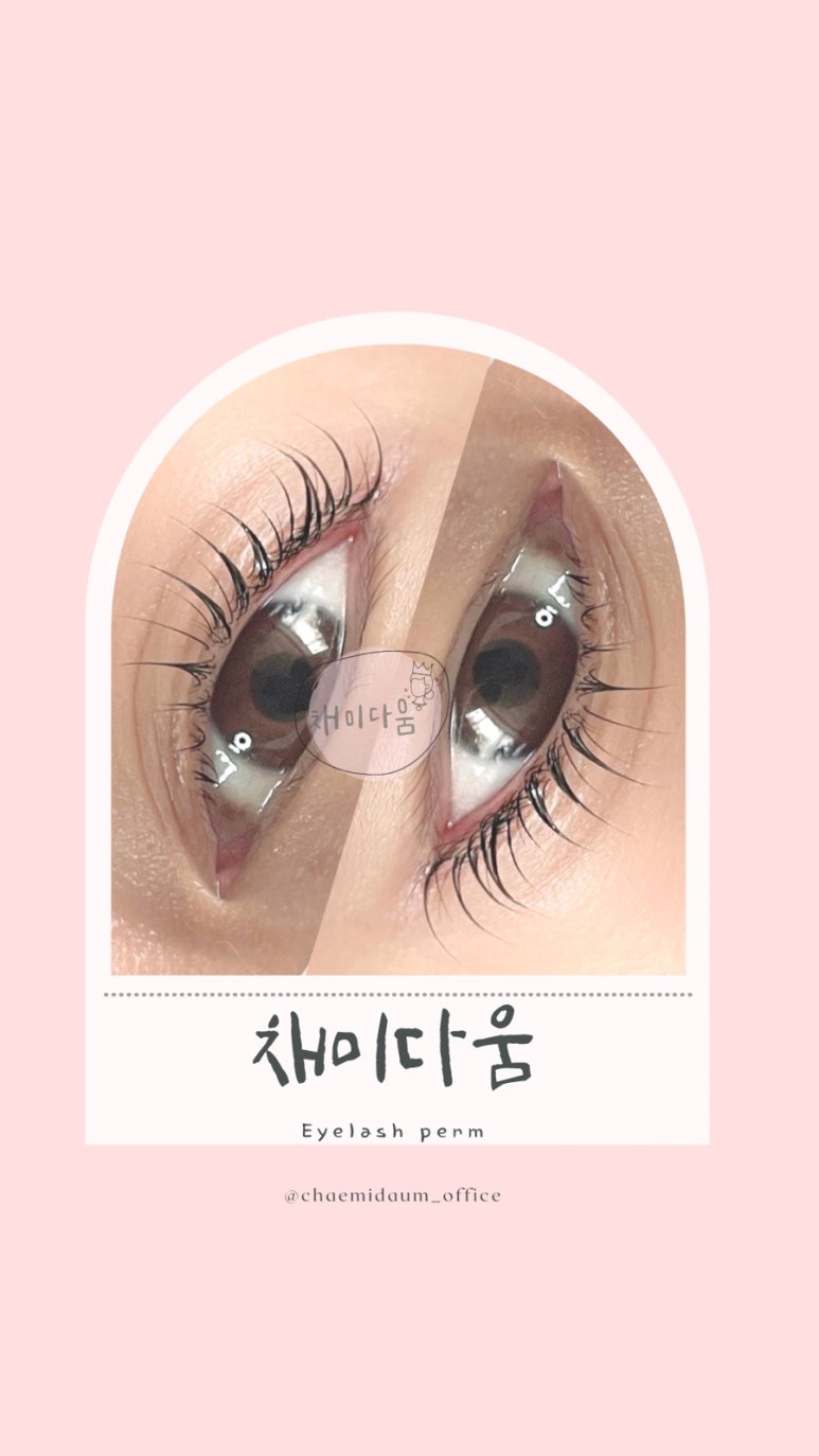 채미다움 이미지