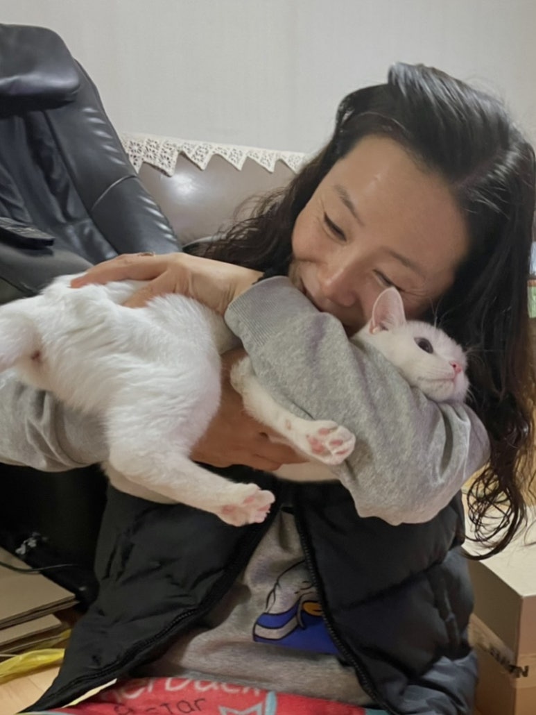 도도테라피 이미지